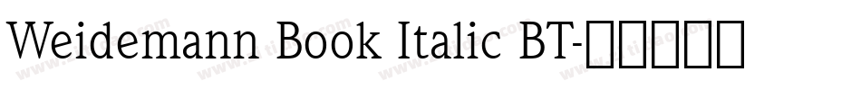Weidemann Book Italic BT字体转换